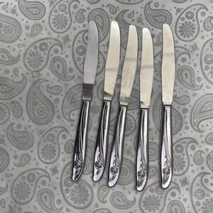 Vintage Stainless Steel Floral Handle Dinner Knives Set of 5